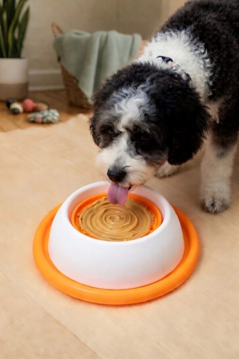 Interactive Slow Feeder Bowl – Lick Toy & Slow Eating Bowl for Dogs & Cats